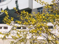 -北京协和医院(东单院区)