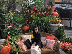 -The Grounds of Alexandria