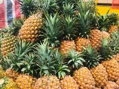 -三亚新鸿港水果一级批发市场