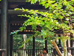 -黄公望隐居地