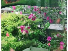 -海兰云天度假区温泉