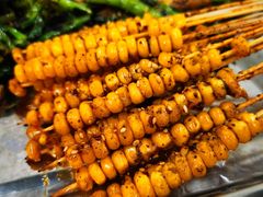 玉米粒-华村烧烤(翠湖天地店)