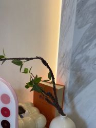 -德绣·机器野生眉发际线·美瞳线半永久
