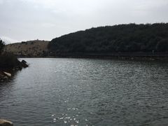 -永泰中国云顶
