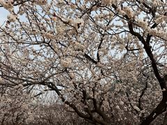 -云龙山