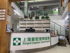 -爱侣宠医·鹦鹉专科·小型哺乳类·异宠专科(灵石路店)