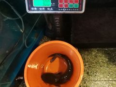 -粗粮人家·东北菜(洋桥店)