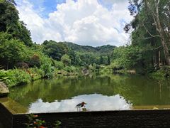 -深圳仙湖植物园