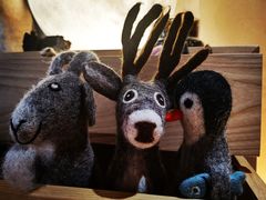 -梵几(东信·和创园店)