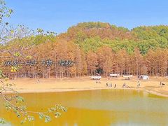 -青龙山国家森林公园