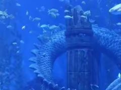 -哈尔滨波塞冬海底世界