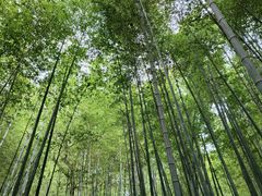 -南山风景名胜区