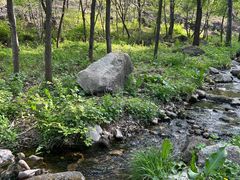-玉渡山自然风景区