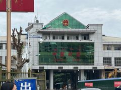 -打洛口岸