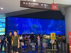 -成都浩海立方海洋公园