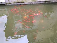 -龚家花园农家乐休闲别墅