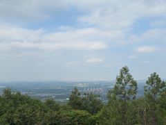 -阳台山自然风景区