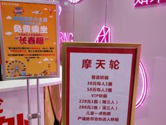 -摩天活力城·摩天轮