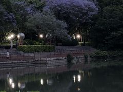 -金山公园