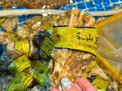 -金龙·打边炉(南京西路店)