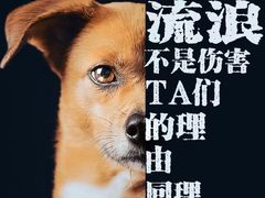 -稻香海鲜点心酒家(荟聚中心店)