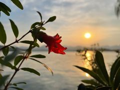 -柳莺湖上·湖景餐厅·江南菜(西湖店)