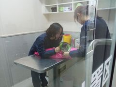 -谐和益家动物医院·免疫绝育·血液透析·宠保定点医院(高新伊藤分院)