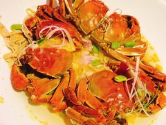 咸肉百叶蒸六月黄-蟹榭(静安寺晶品商场店)