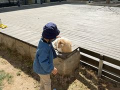 -廊坊固安福朋喜来登酒店
