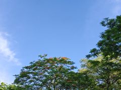 -火炉山森林公园