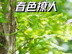 -苏州河梦清园环保主题公园
