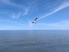 -青海湖仙女湾景区