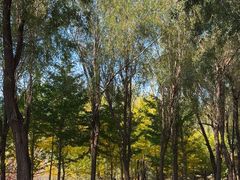 -长春公园(普阳街道)