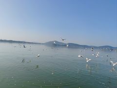 -蠡湖大桥公园