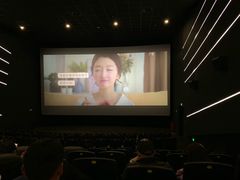 放映厅-幸福蓝海国际影城(IMAX全运村中央广场店)