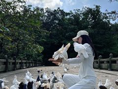 -丹东凤凰山景区
