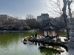 -莲湖公园