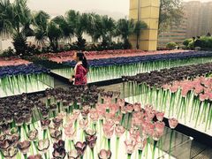 -沙田广场