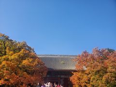 -香山公园