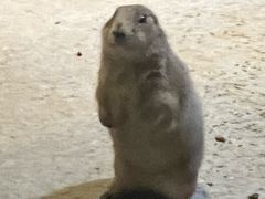 -苏州海洋馆