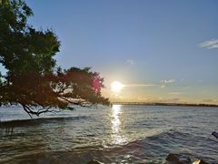 -宝安西湾红树林湿地公园