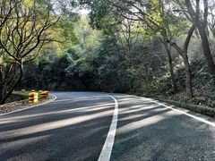 -惠山国家森林公园