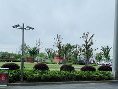 -复旦大学附属华山医院(虹桥院区)