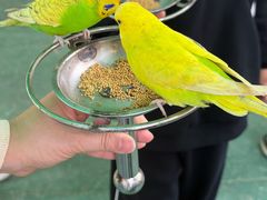 -汕头蓝水星欢乐世界