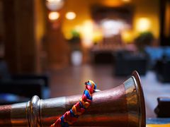 -松赞拉萨林卡酒店