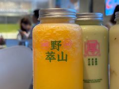 -野萃山·潮汕厚果汁(十亩地店)