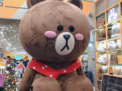 -line friends(明洞旗舰店)