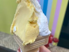 -柠檬车露(卖草地店)