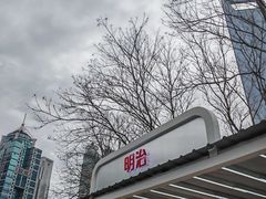 -陆家嘴中心绿地
