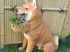 -诺亚财富中心